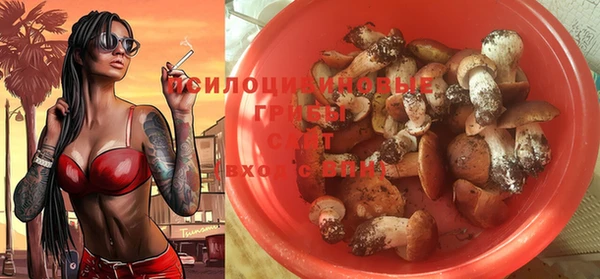 амф Бугульма