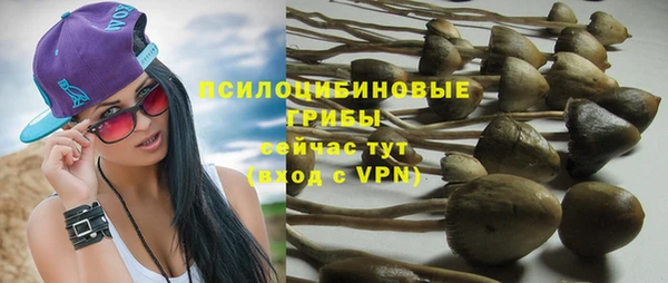 амф Бугульма